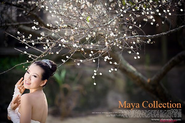 婚纱摄影欣赏：《Maya Collection》百衲本设计