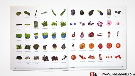 画册设计