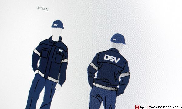 DSV标志及应用