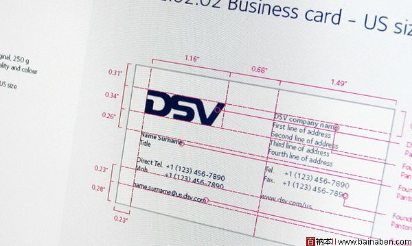 DSV标志及应用
