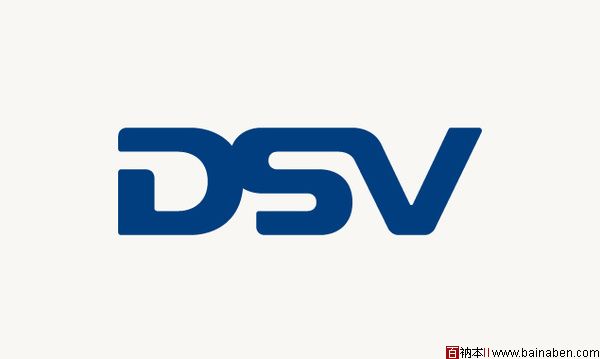 DSV标志及应用