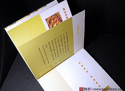 陈涌新画册设计