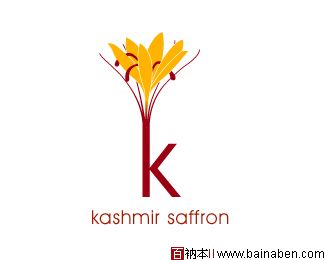 kashmir logo-百衲本视觉