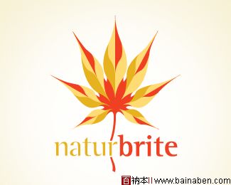 naturbrite logo-百衲本视觉