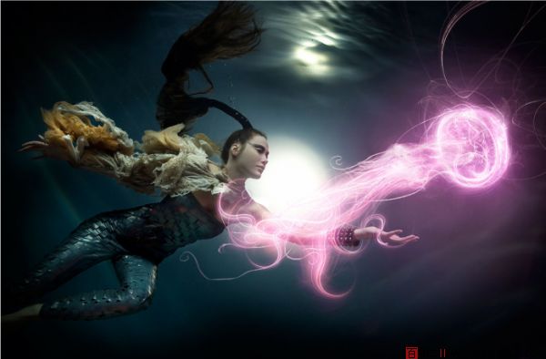 水下摄影师ZENA HOLLOWAY作品欣赏-百衲本视觉
