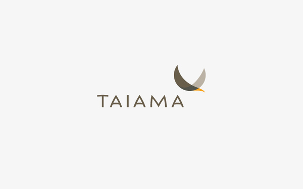 品牌设计：Taiama