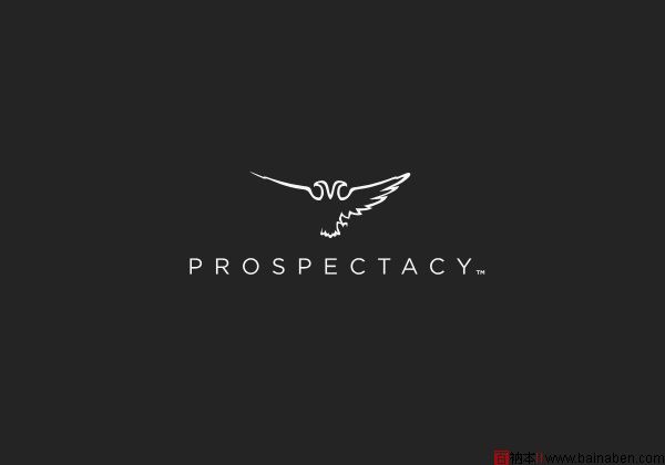 Prospectacy品牌VI设计欣赏-百衲本
