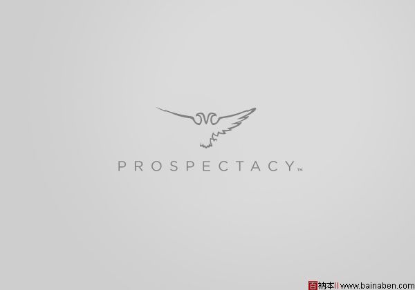 Prospectacy品牌VI设计欣赏-百衲本