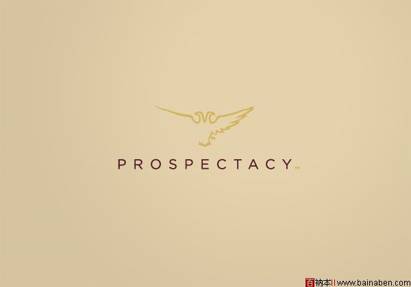 Prospectacy品牌VI设计欣赏-百衲本