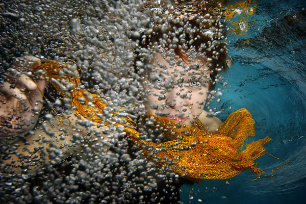 水下摄影欣赏by-Terras-百衲本